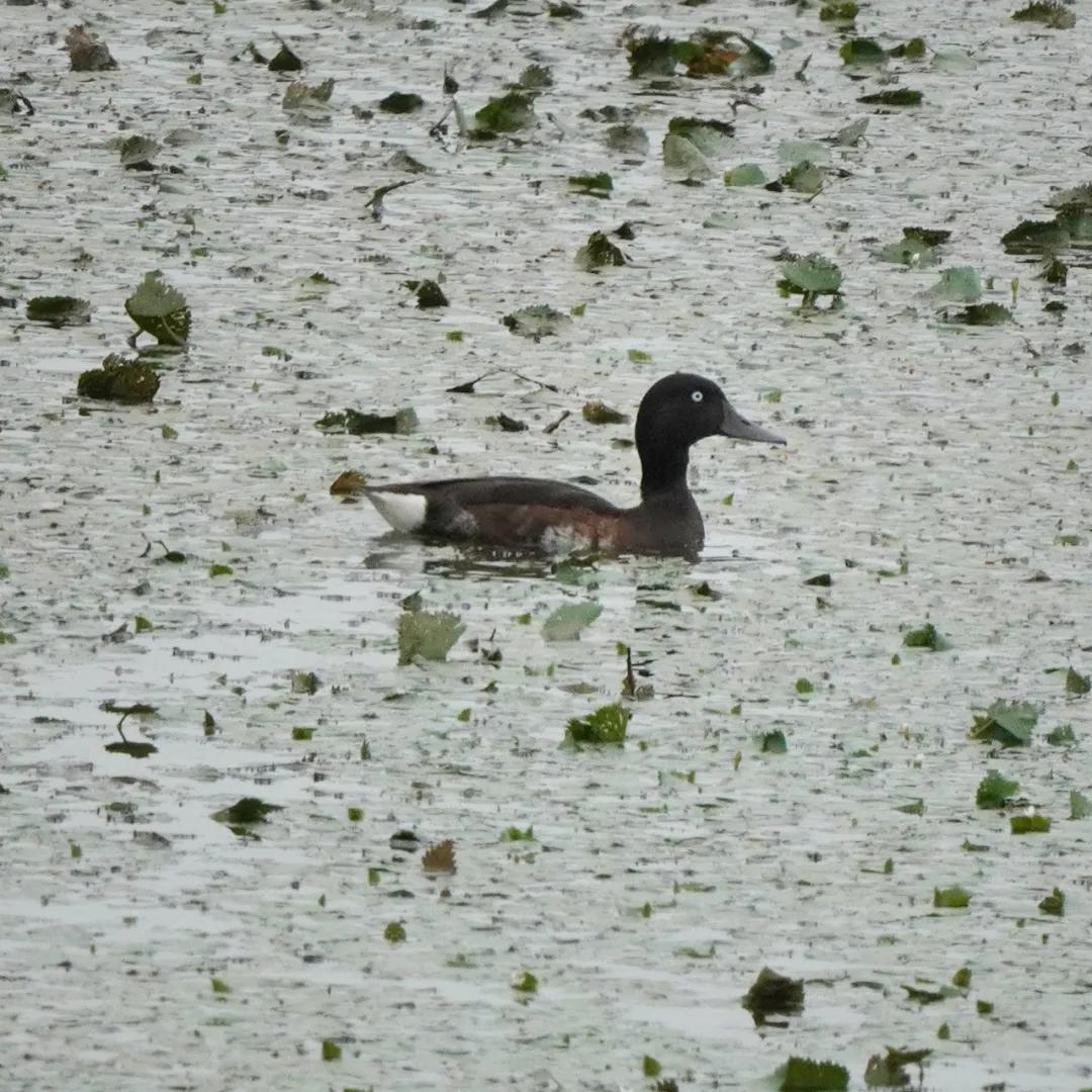 合肥融创茂宝藏秘境,合肥宝藏地