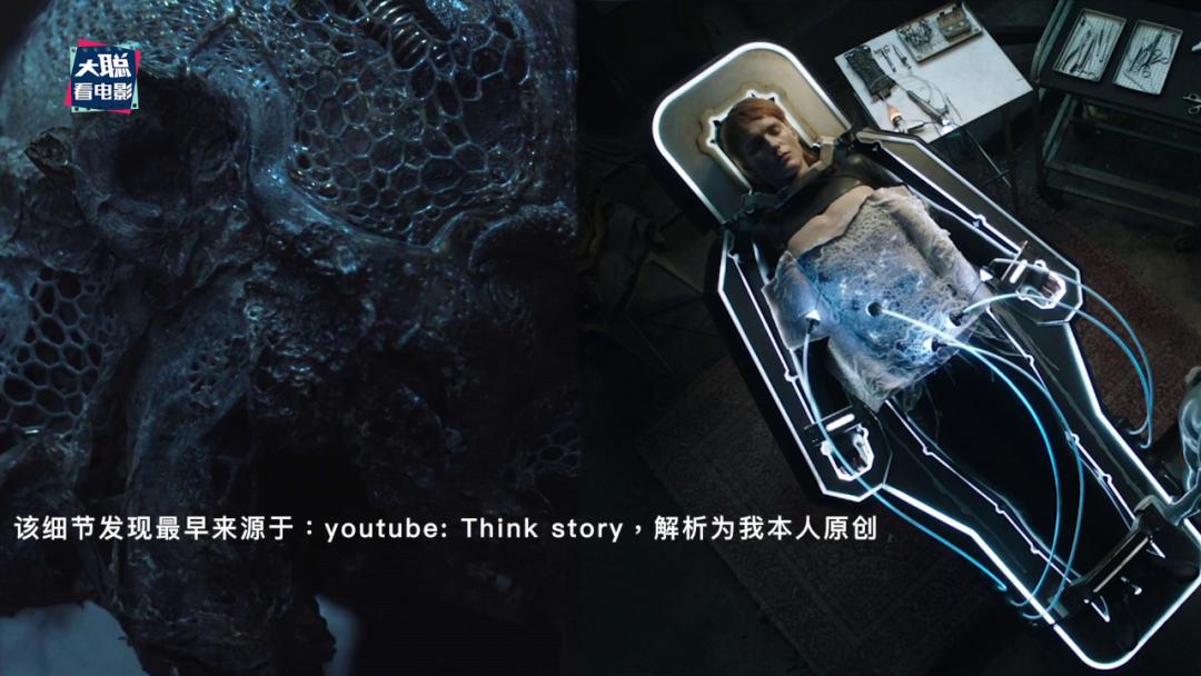 异星灾变脑洞,蛇鳗异星灾变