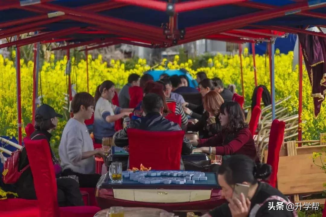 成都看花玩水,成都春游看花