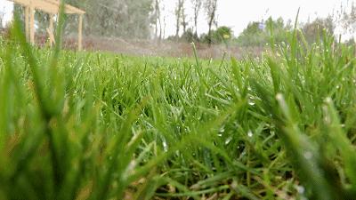 太原农家乐烧烤,山西有山有水的可以烧烤民宿