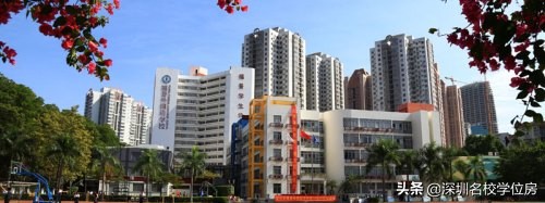 深圳民办普高前十最新排名,深圳十大民办初中学校排名表