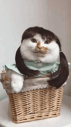 网上买的连衣裙到货了,店家连夜打电话跪求删除好评照片太尴尬了