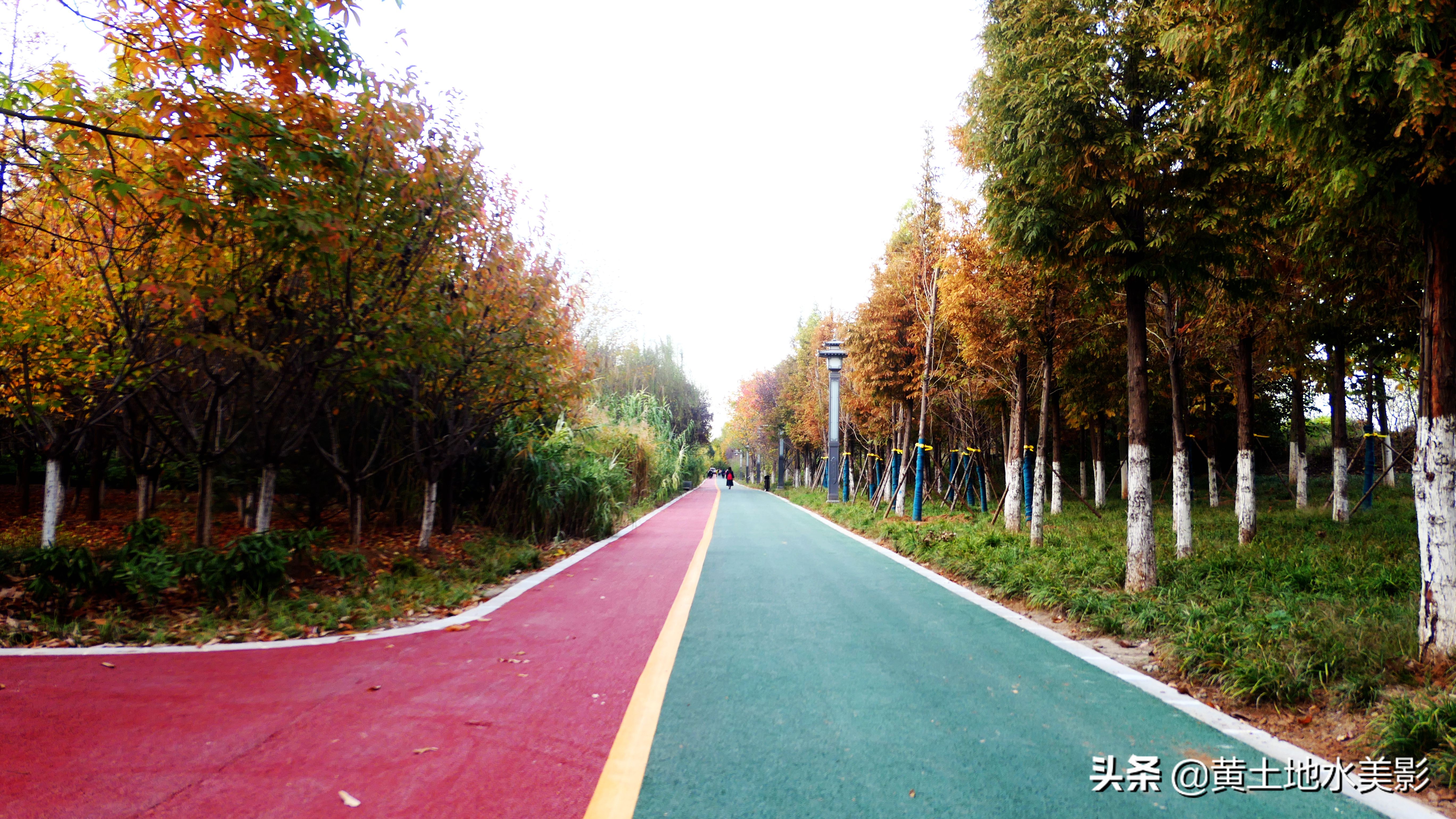 免费游玩东湖公园攻略,免费湿地公园游乐景点