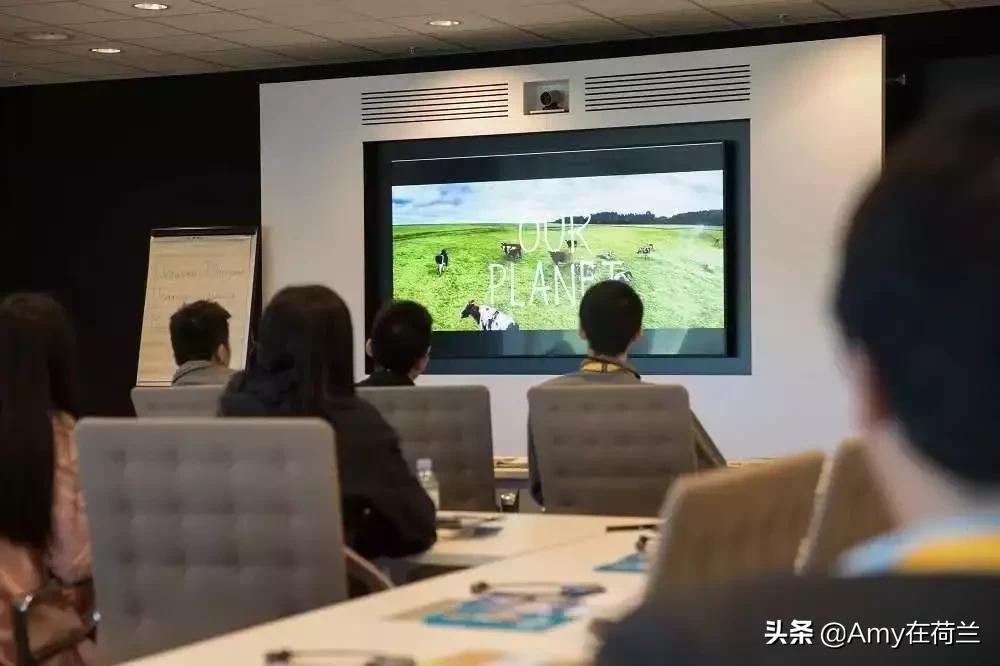 荷兰牛栏奶粉1段普通版和铂金版,荷兰牛栏白金版和荷兰牛栏区别