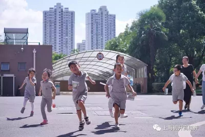 上海实验学校高考,2019上海市实验学校喜报