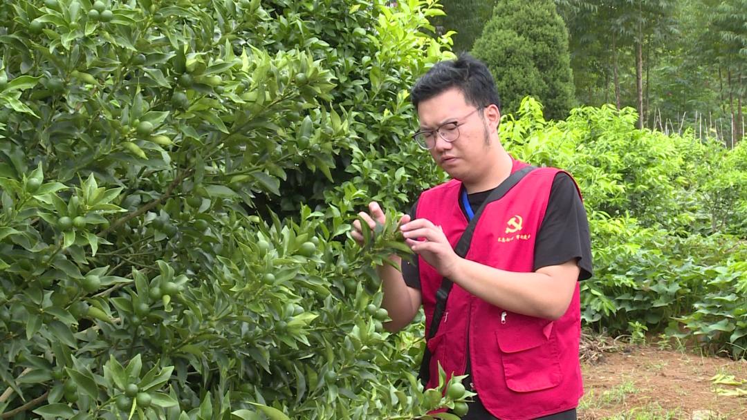 【阳朔人阳朔事】村里的“大个子”书记,乡亲们的好“亲戚”