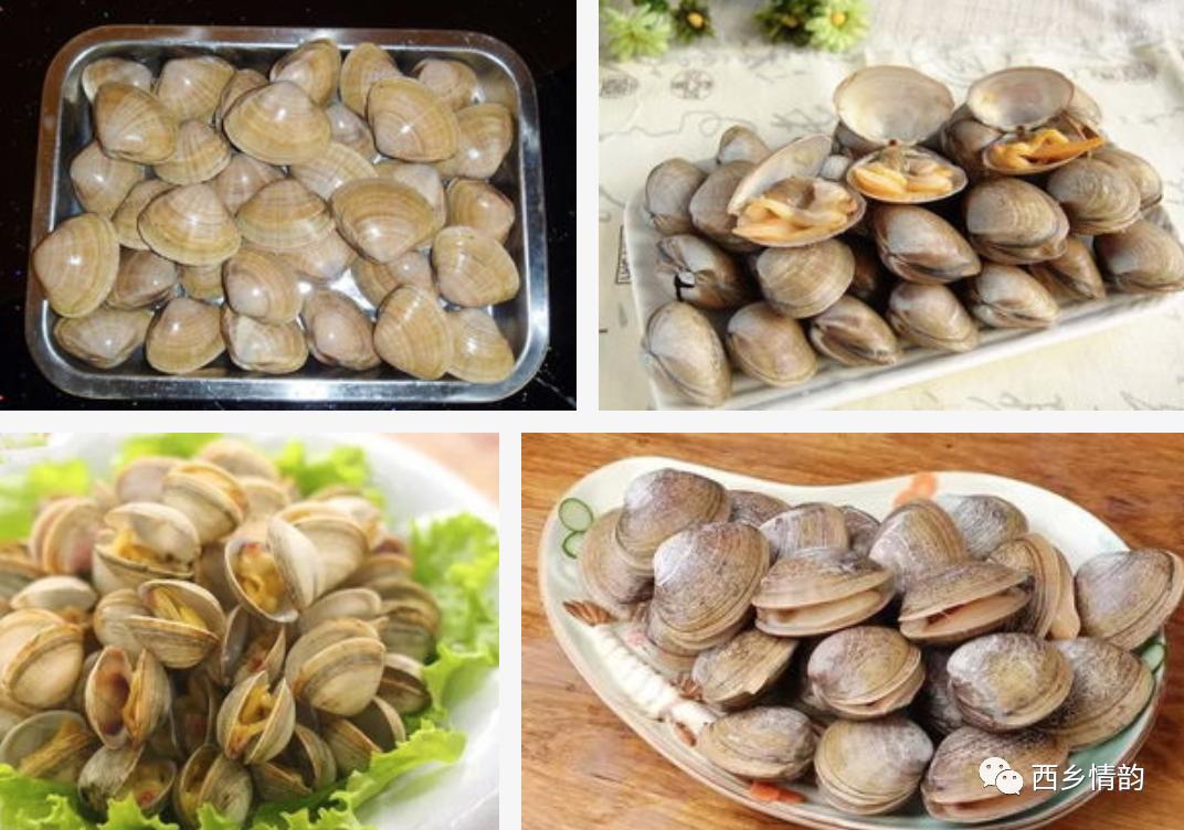 鑸屽皷涓婄殑涓浗铓瓙,鑸屽皷涓婄殑涓浗铓瓙濡傜殝