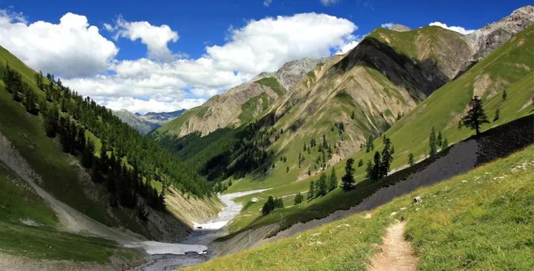 福利来了四个字图片大全,获取免费商业图片的网站