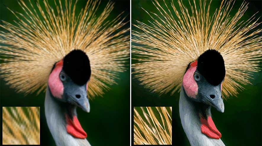 coreldraw2020常用工具有哪些,coreldraw2020工作室版