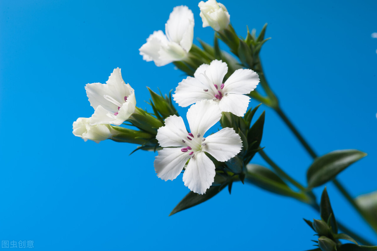 元稹写给白居易的名句,白居易写给元稹的最深情的六句诗