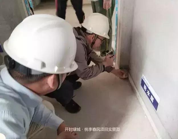 没忍住,还是再次来看了桃李春风