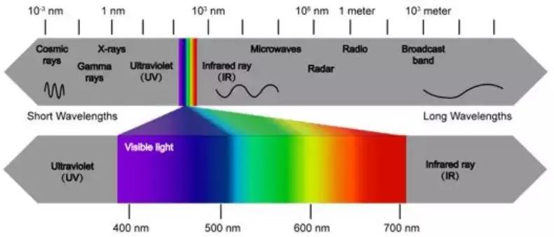 中美科学家测试超级小鼠，具有夜视能力，突破哺乳动物视觉极限