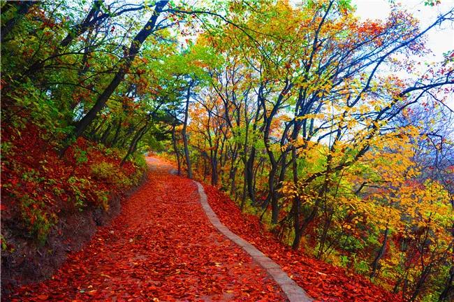 国庆运城游玩攻略,国庆运城旅游攻略