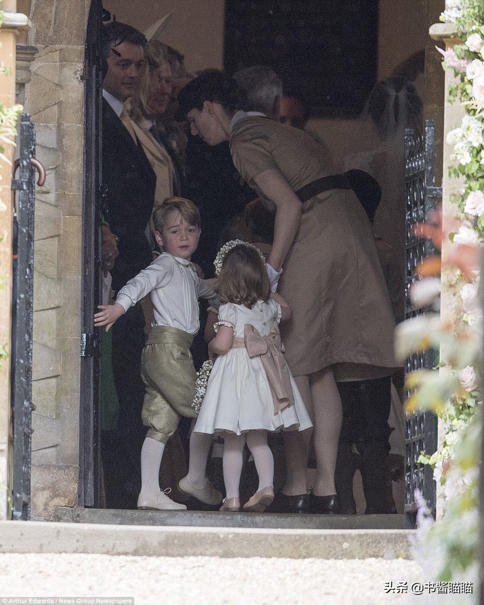 阿奇小时候就被主人抛弃,阿奇小时候生气