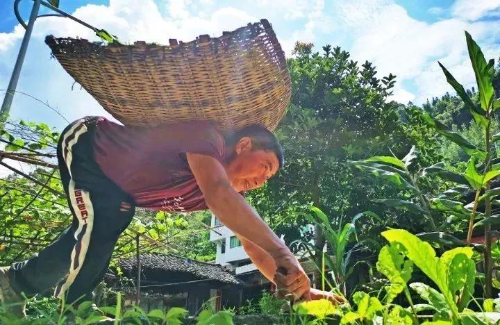 挖掘历史文化资源打造地方特色,挖掘黄河文化讲好故事