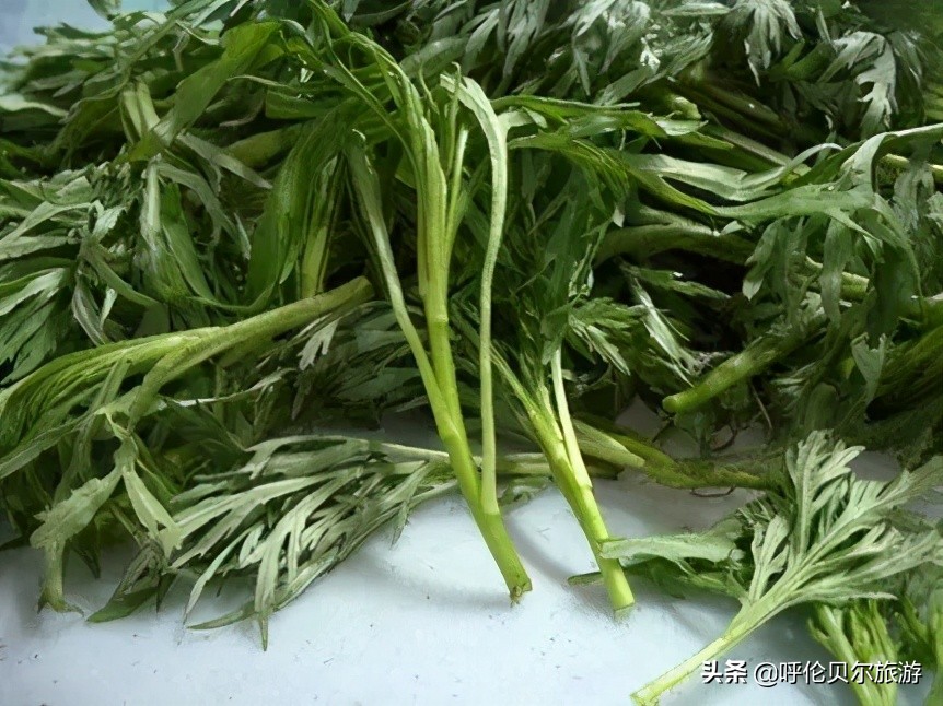 呼伦贝尔当地美食特色介绍,呼伦贝尔还有哪些特色美食