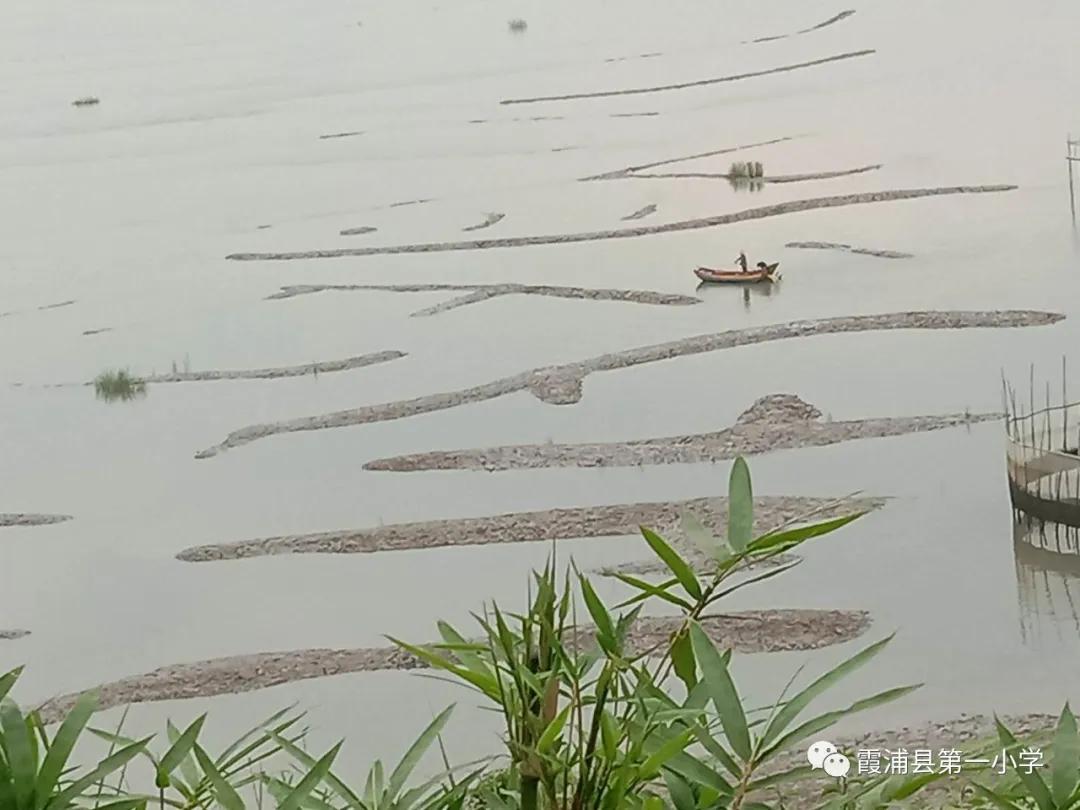 霞浦一中高一新生夏令营,霞浦县夏令营