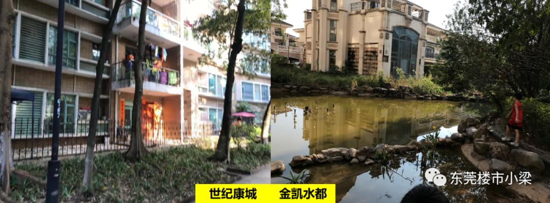 怎么知道楼盘的销售情况,如何知道楼盘真实价格