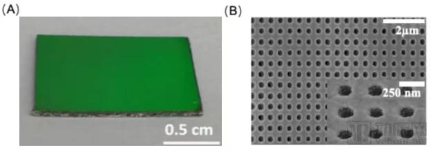 近30亿潜在市场规模，新一代SPR技术检测平台市场研究报告