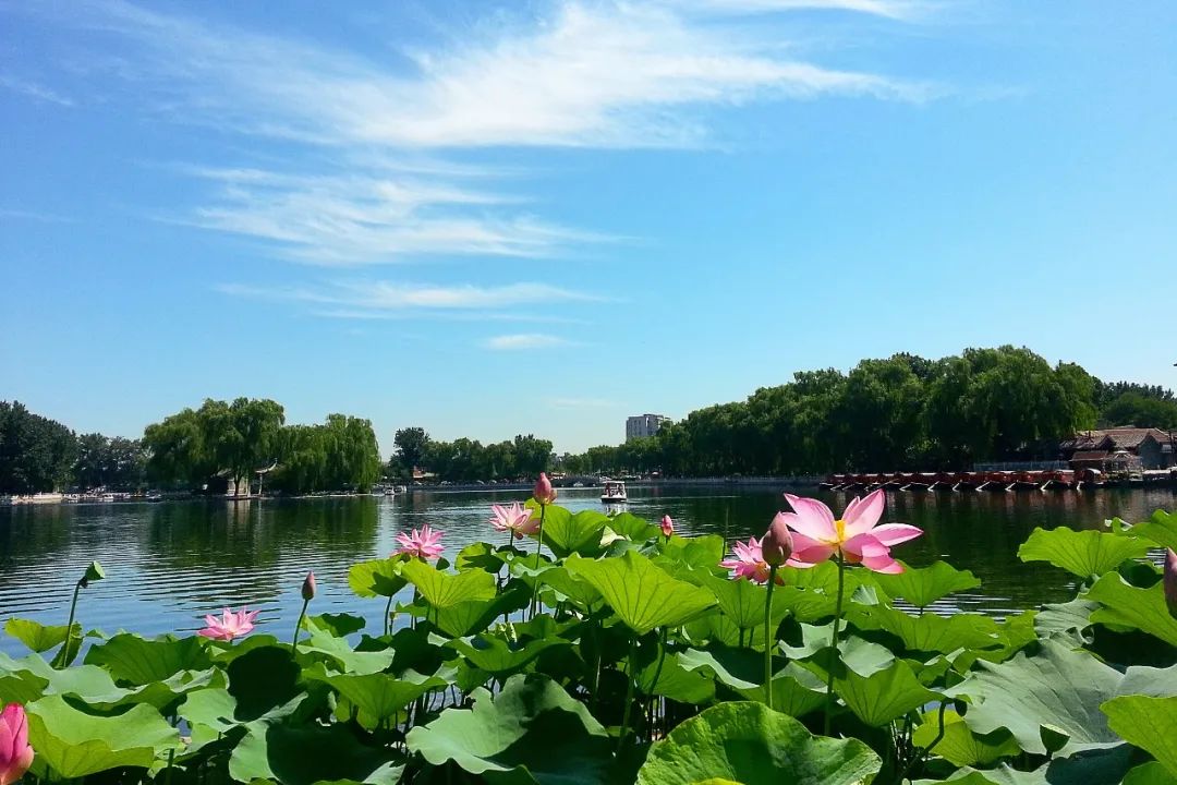 推动老城区旧貌换新颜,推进新老城区品质功能提升