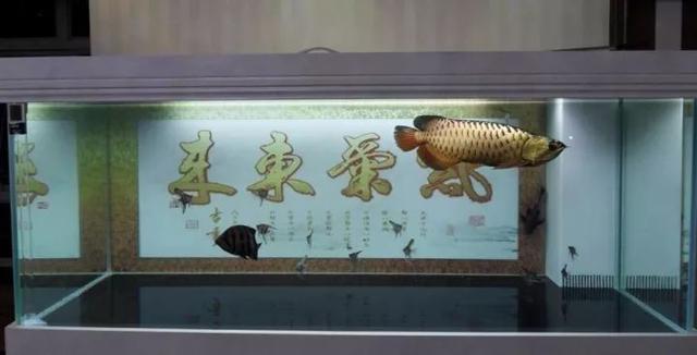 做缸技术难点,做缸的正确方法