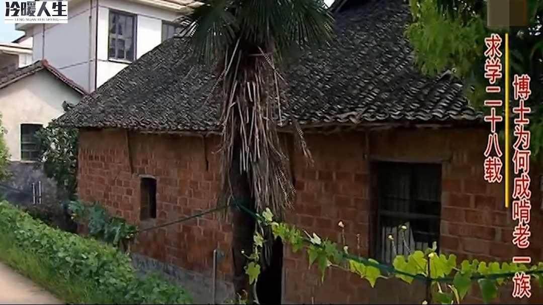 非双一流大学博士生毕业后怎么样,37岁博士生在家啃老视频完整版