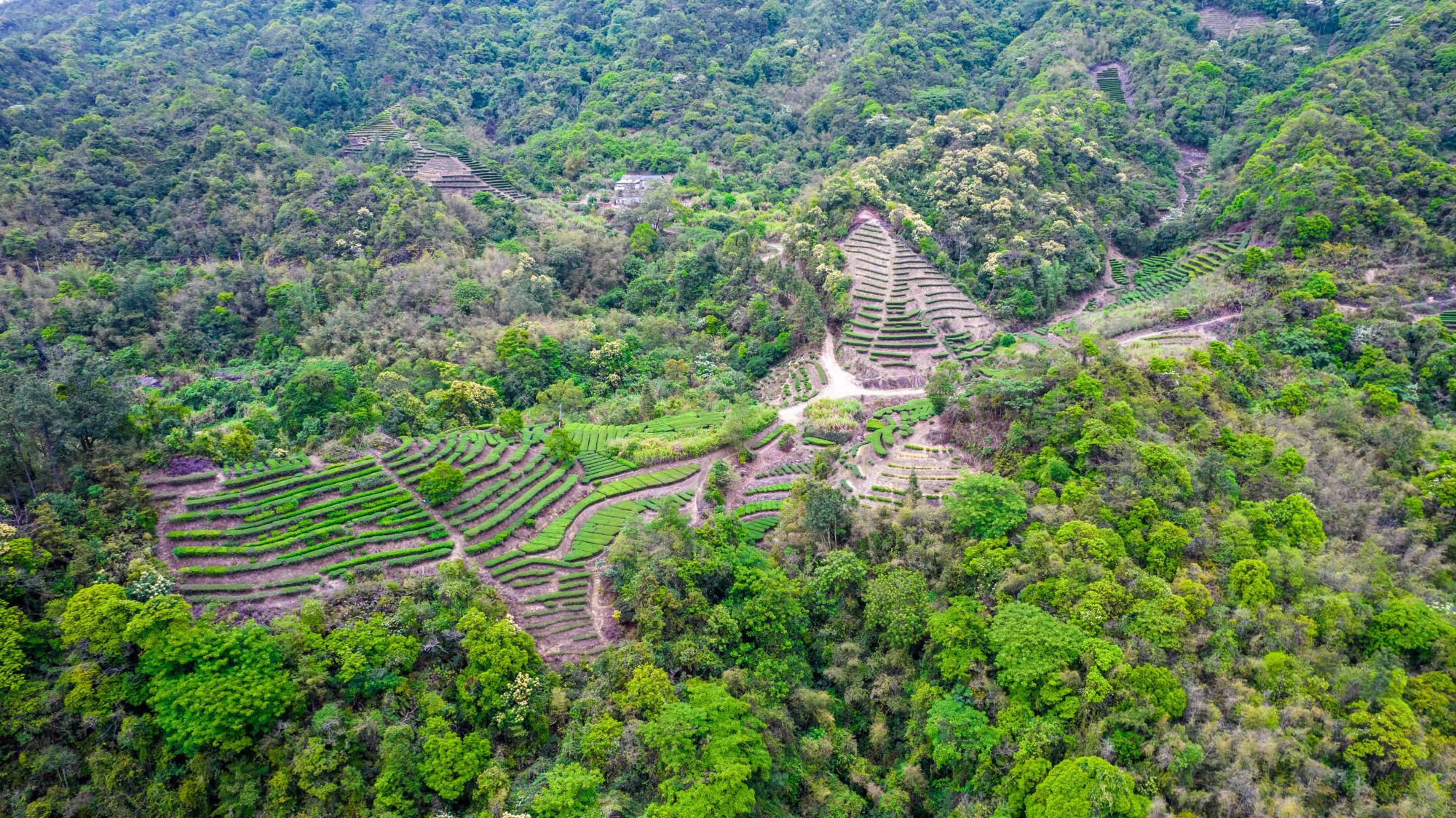 黄果树瀑布中华第一瀑,黄果树大瀑布中华第一瀑