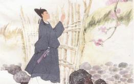 梅花易数的易数指的是什么,梅花易数心易阐微