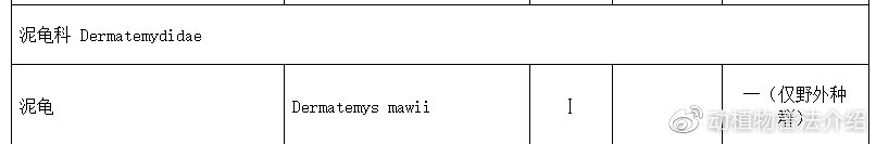 匠志萌宠乐园教学,匠志萌宠