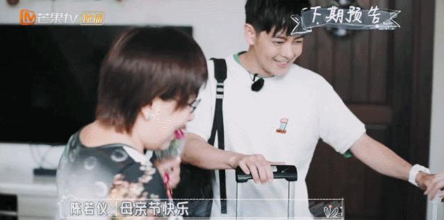 陈若仪为什么嫁林志颖,陈若仪多少岁嫁给林志颖