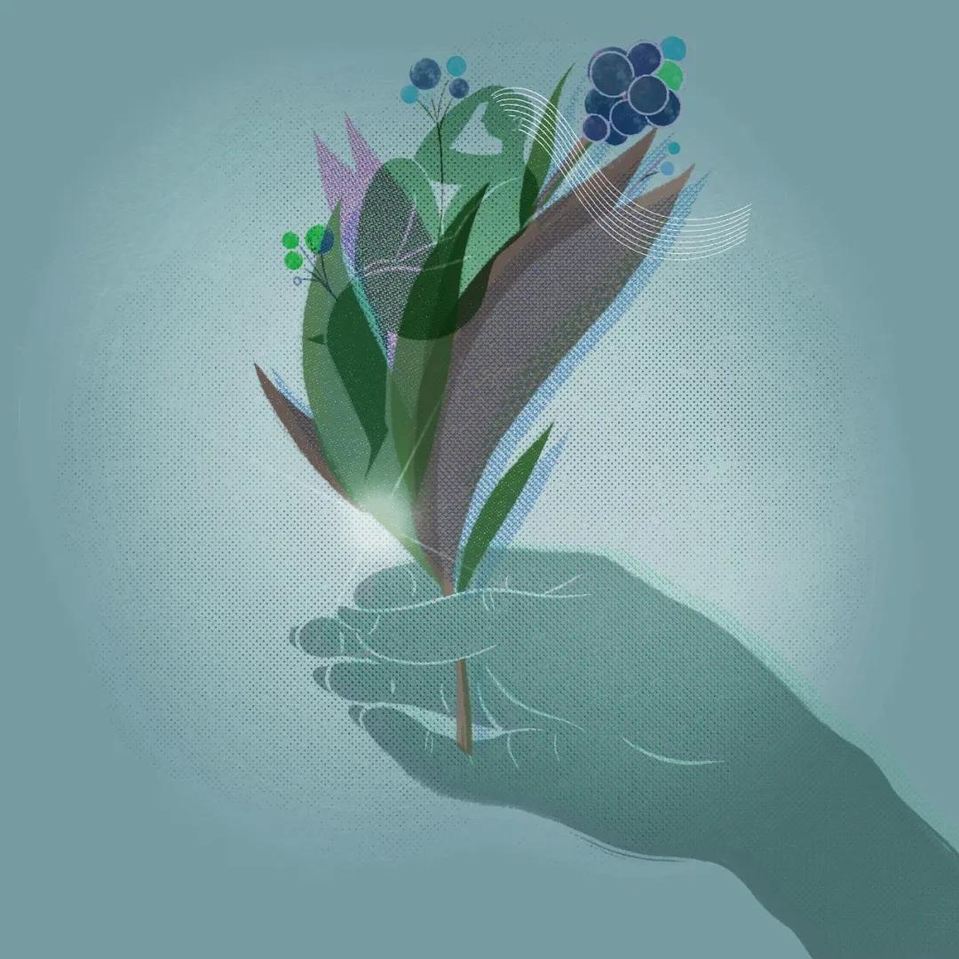 新东方如何转型素质教育,教育改革新东方怎么样了