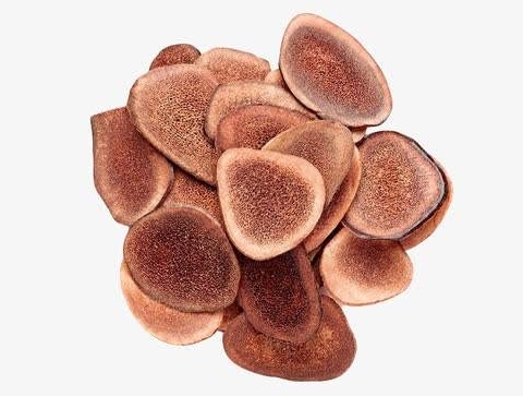 补肾精的中草药鹿茸,鹿茸是补肾虚的最佳中药吗