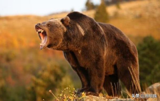 山海经第五卷小说,山海经第五篇