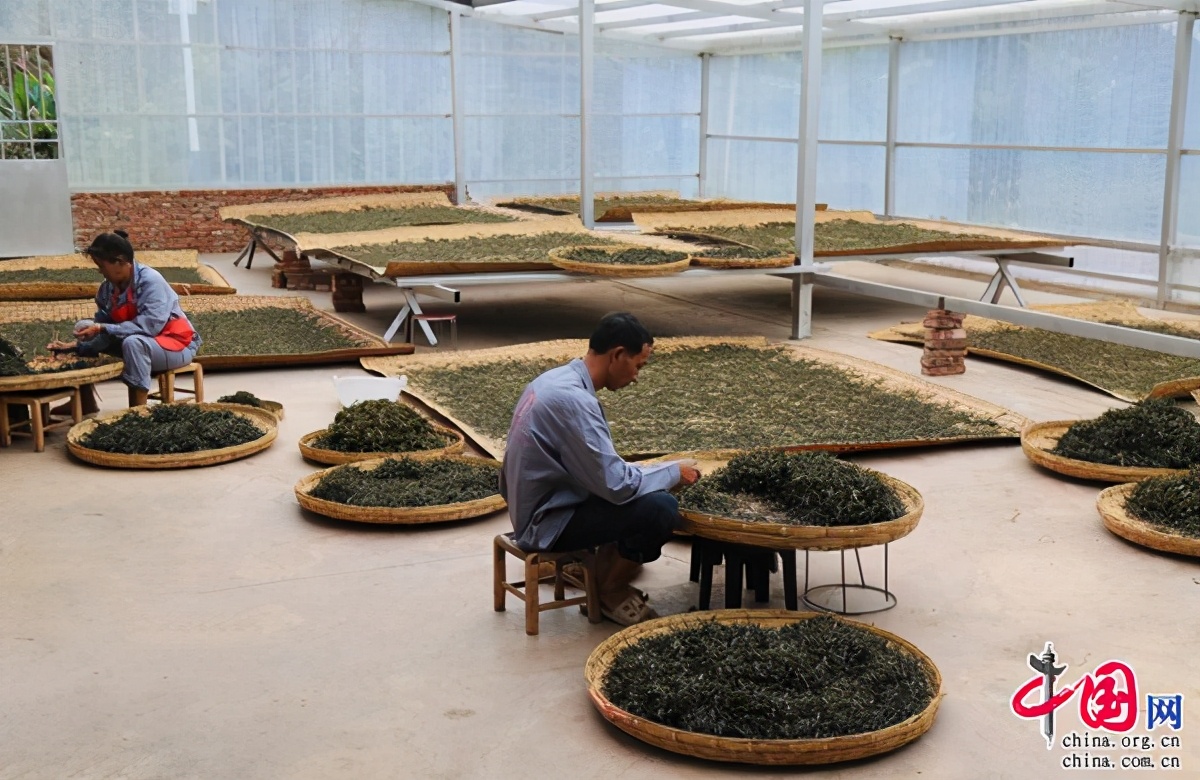 镇沅千家寨普洱茶品牌如何,镇沅八大名山系列普洱茶