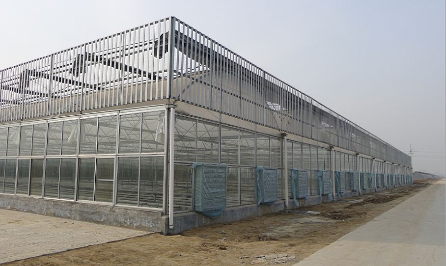 阳光板温室大棚优缺点,阳光板温室大棚室内效果