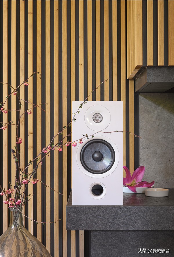 focal劲浪chora,劲浪focalbathys颜色