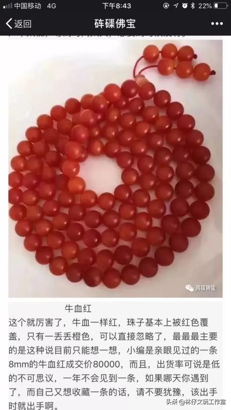 黄砗磲与白色玉化砗磲哪个硬度高,砗磲保养记住三点保证光亮如新