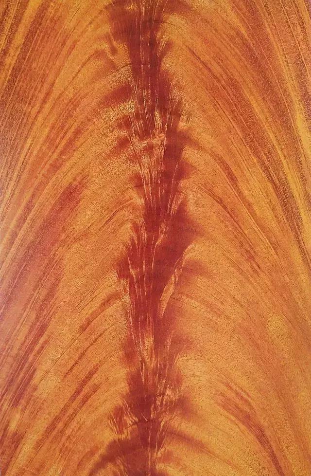 最美木皮,轻奢极简天然木皮