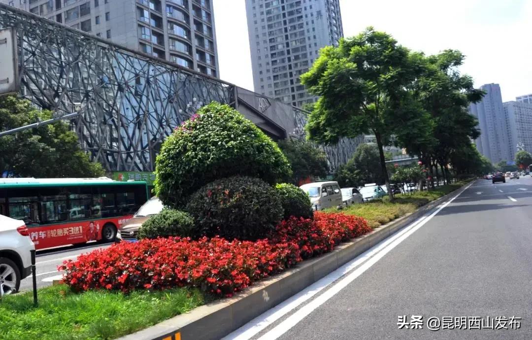 鏄嗘槑cop15鏄ュ煄涔嬬害娴峰焸浼氬爞澶滄櫙,鏄嗘槑cop15鏄ュ煄涔嬬害