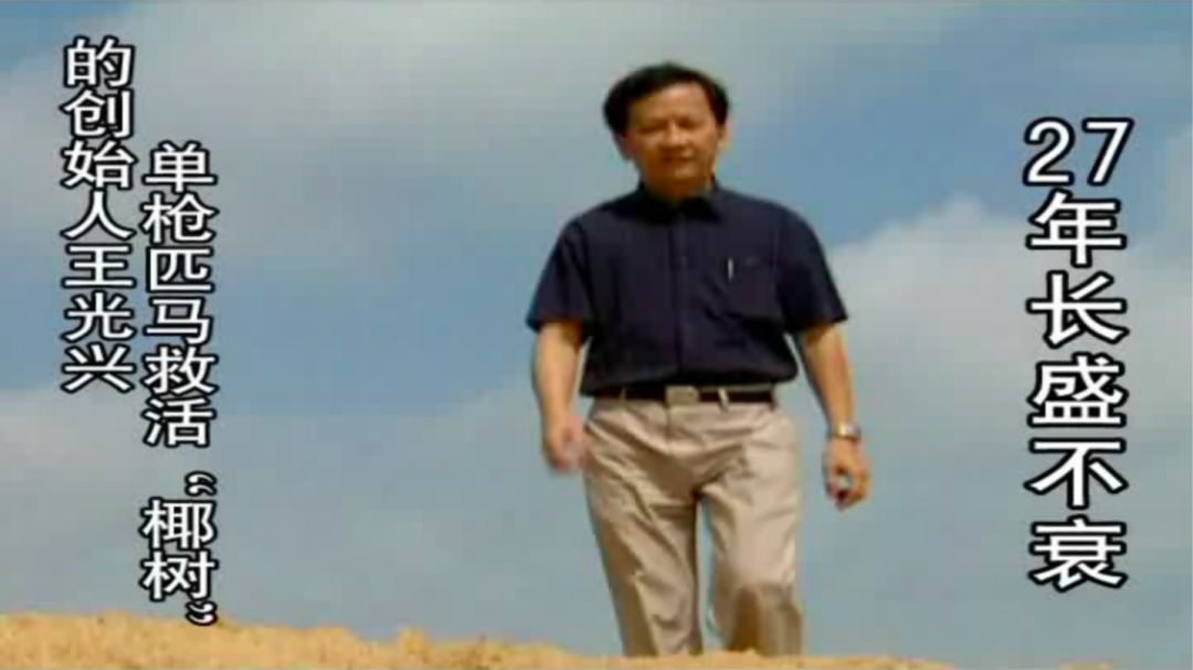 椰树牌椰汁从小喝到大广告,椰树广告我从小喝到大什么意思