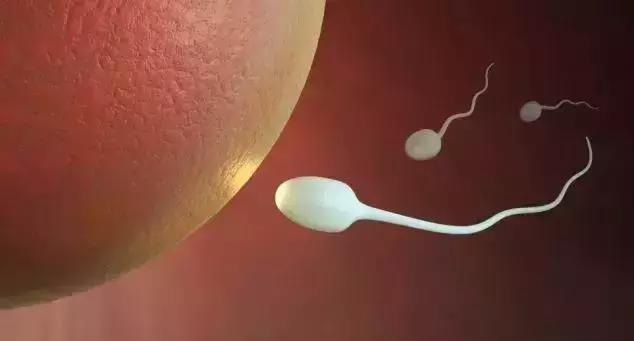 女性生育力评分,女人最佳生育能力年龄