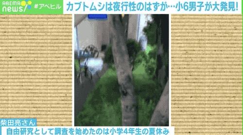 疫情期间12岁小学生做出颠覆常识的发现，以一作身份发了论文