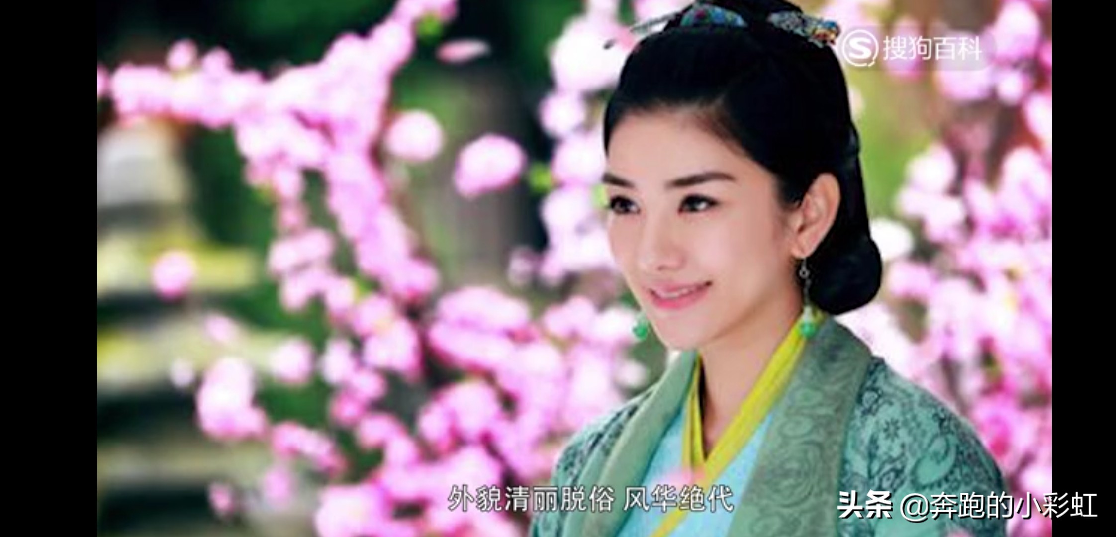 我家那闺女张佳宁求婚,张佳宁求婚小棉袄