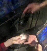 男子吃河豚中毒身亡,吃生鱼中毒事件