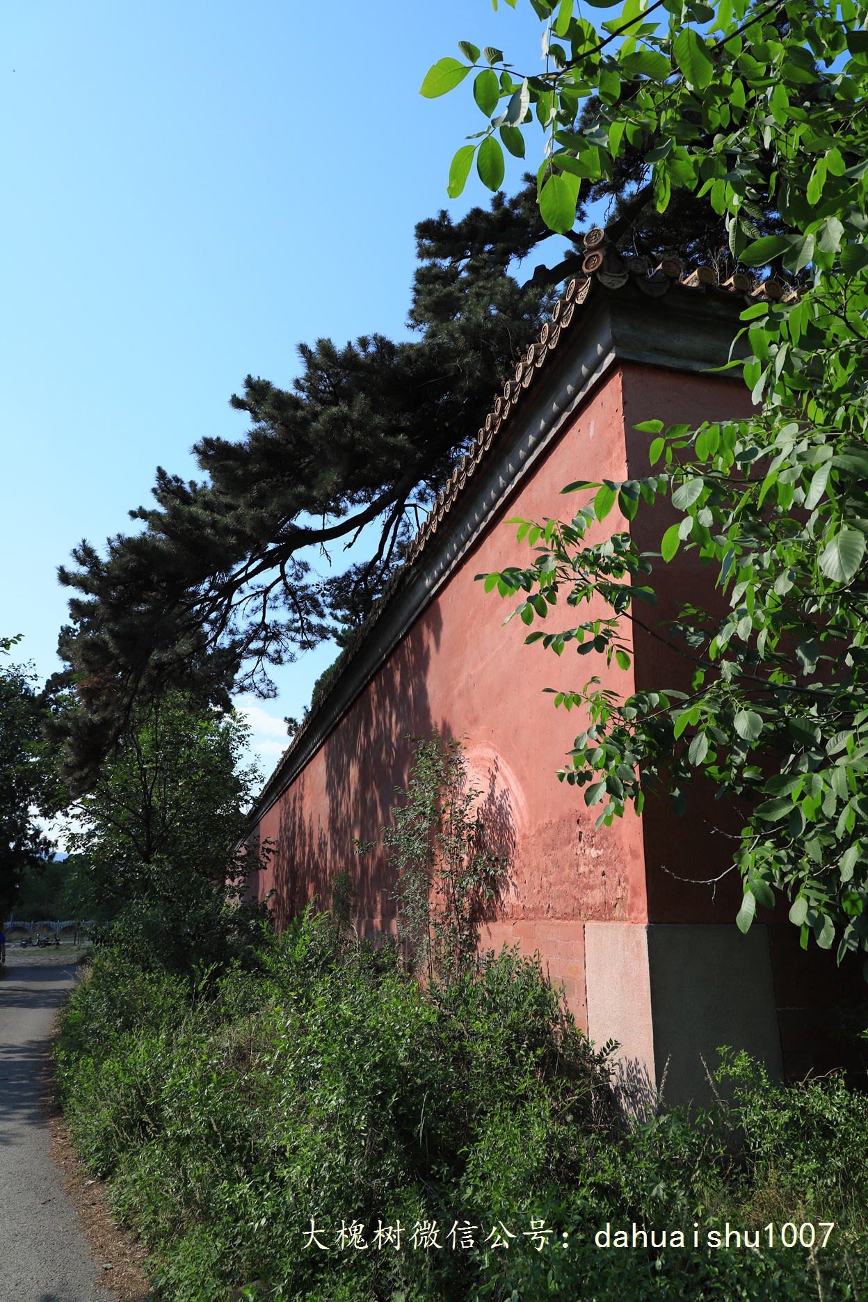 嘉靖陵墓永陵和永乐大典,明朝十三陵之永陵