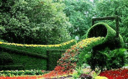 武汉人为什么离不开热干面呢,武汉人离不开的热干面