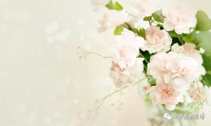 宝钛股份是小盘股吗,宝钛股份可以买入吗