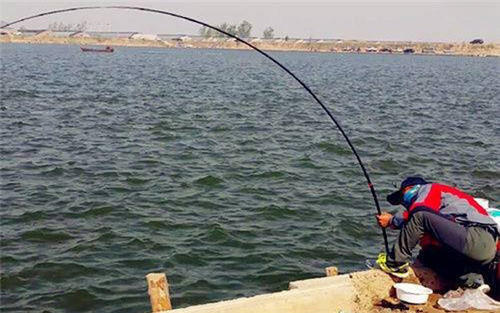 鱼线主线和子线使用方法,鱼线主线子线大小配比