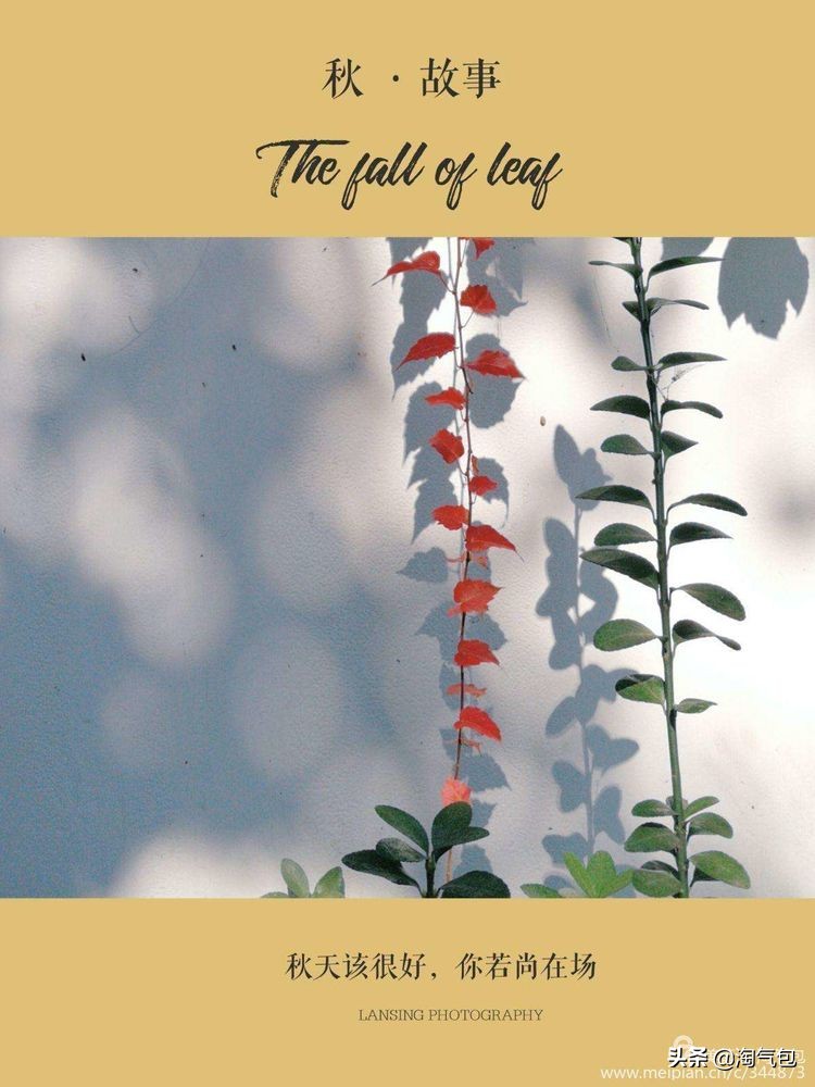 秋分一半热烈一半安详,秋分秋天分两半