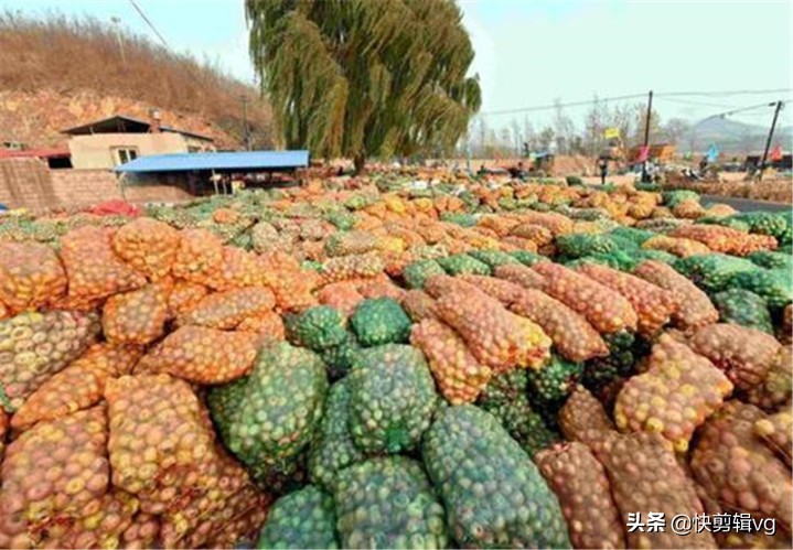 中国承包巴铁万吨水果,又和菲律宾签订2.7亿大单,越南坐不住了